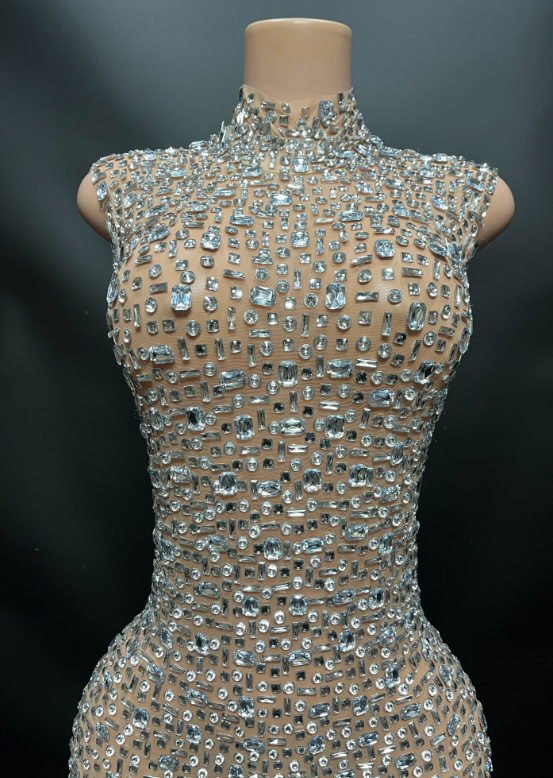 Silver Maternity Dress (Light Nude Mesh, Ready to Ship S, M, L)